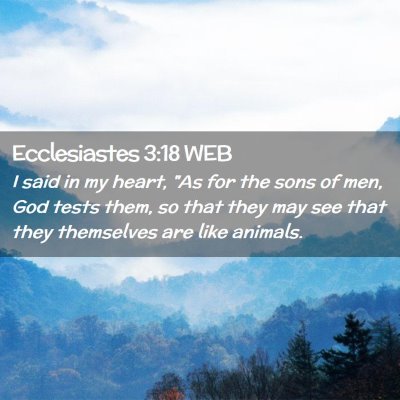 Picture 02 - Ecclesiastes 3:18 WEB - I said in my heart, 