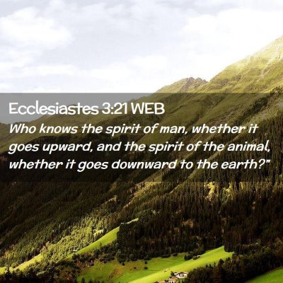 Picture 02 - Ecclesiastes 3:21 WEB - Who knows the spirit of man, whether it goes - Bible Verse Picture