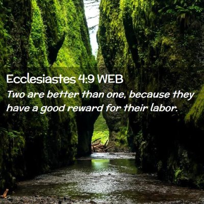 Picture 02 - Ecclesiastes 4:9 WEB - Two are better than one, because they have a good - Bible Verse Picture
