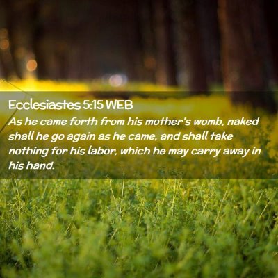 Picture 02 - Ecclesiastes 5:15 WEB - As he came forth from his mother's womb, naked - Bible Verse Picture