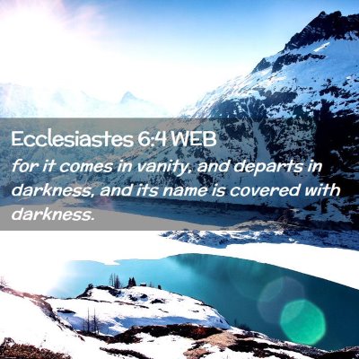 Picture 02 - Ecclesiastes 6:4 WEB - for it comes in vanity, and departs in darkness, - Bible Verse Picture