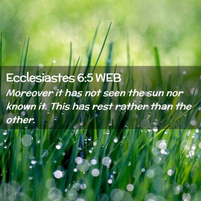 Picture 02 - Ecclesiastes 6:5 WEB - Moreover it has not seen the sun nor known it. - Bible Verse Picture