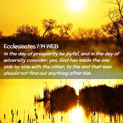 Picture 02 - Ecclesiastes 7:14 WEB - In the day of prosperity be joyful, and in the - Bible Verse Picture