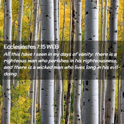 Picture 02 - Ecclesiastes 7:15 WEB - All this have I seen in my days of vanity: there - Bible Verse Picture