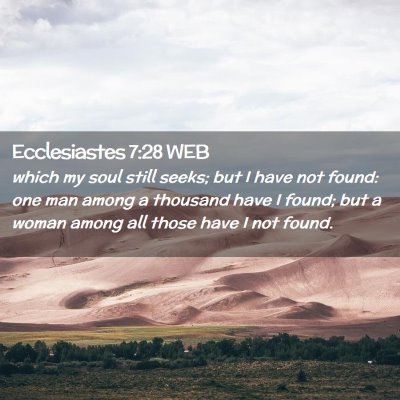 Picture 02 - Ecclesiastes 7:28 WEB - which my soul still seeks; but I have not found: - Bible Verse Picture