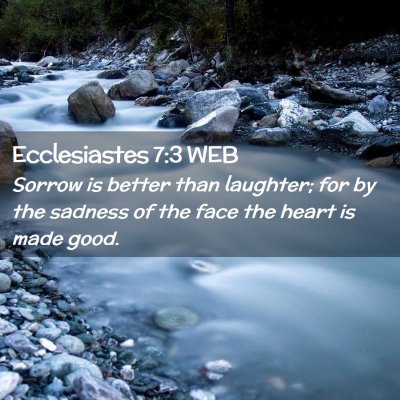 Picture 02 - Ecclesiastes 7:3 WEB - Sorrow is better than laughter; for by the - Bible Verse Picture