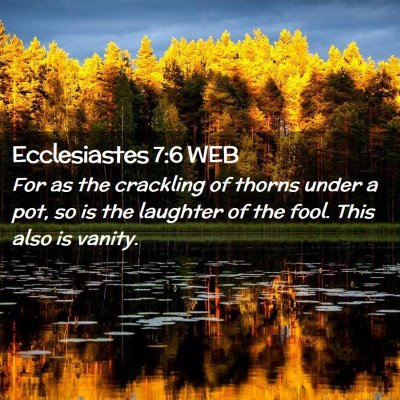 Picture 02 - Ecclesiastes 7:6 WEB - For as the crackling of thorns under a pot, so is - Bible Verse Picture