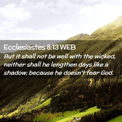 Picture 02 - Ecclesiastes 8:13 WEB - But it shall not be well with the wicked, neither - Bible Verse Picture