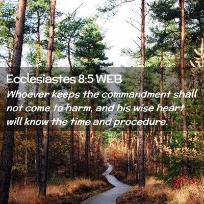 Picture 02 - Ecclesiastes 8:5 WEB - Whoever keeps the commandment shall not come to - Bible Verse Picture