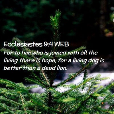 Picture 02 - Ecclesiastes 9:4 WEB - For to him who is joined with all the living - Bible Verse Picture