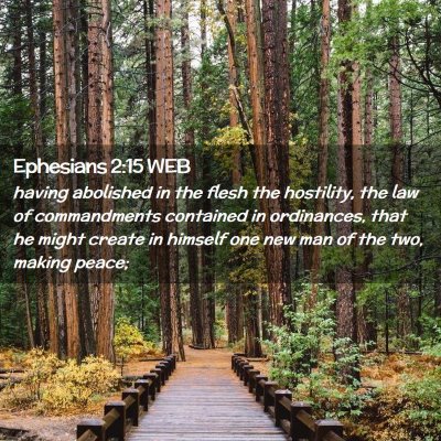 Picture 02 - Ephesians 2:15 WEB - having abolished in the flesh the hostility, the - Bible Verse Picture