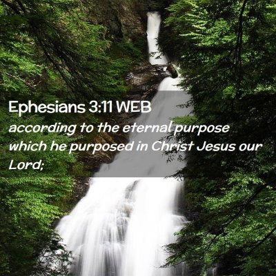 Picture 02 - Ephesians 3:11 WEB - according to the eternal purpose which he - Bible Verse Picture