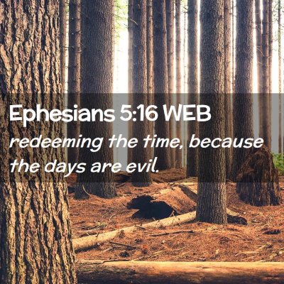 Picture 02 - Ephesians 5:16 WEB - redeeming the time, because the days are - Bible Verse Picture