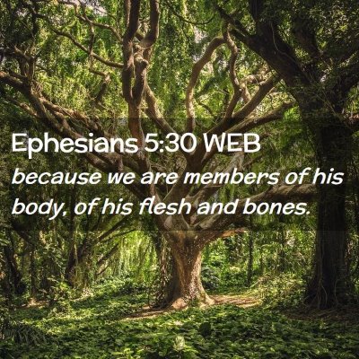 Picture 02 - Ephesians 5:30 WEB - because we are members of his body, of his flesh - Bible Verse Picture