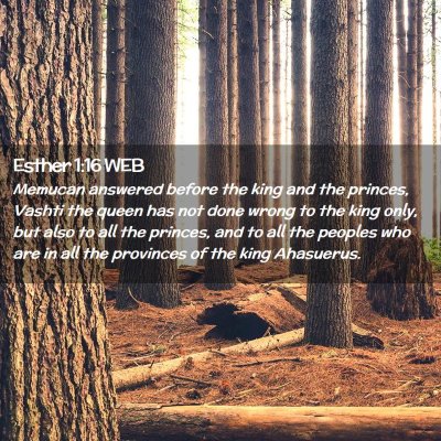 Picture 02 - Esther 1:16 WEB - Memucan answered before the king and the princes, - Bible Verse Picture