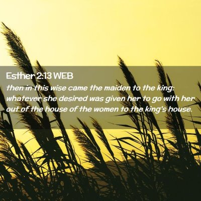 Picture 02 - Esther 2:13 WEB - then in this wise came the maiden to the king: - Bible Verse Picture