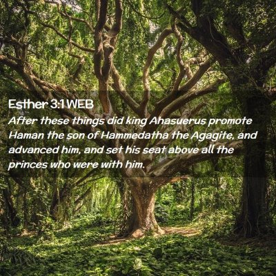 Picture 02 - Esther 3:1 WEB - After these things did king Ahasuerus promote - Bible Verse Picture