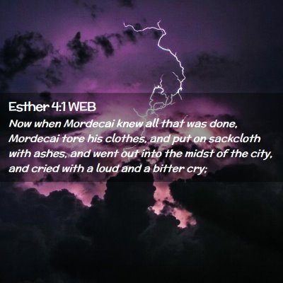 Picture 02 - Esther 4:1 WEB - Now when Mordecai knew all that was done, - Bible Verse Picture