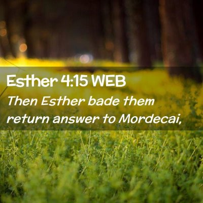 Picture 02 - Esther 4:15 WEB - Then Esther bade them return answer to - Bible Verse Picture