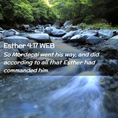 Picture 02 - Esther 4:17 WEB - So Mordecai went his way, and did according to - Bible Verse Picture