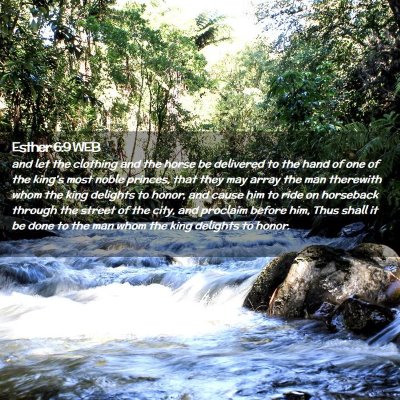 Picture 02 - Esther 6:9 WEB - and let the clothing and the horse be delivered - Bible Verse Picture