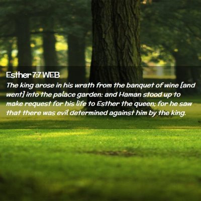 Picture 02 - Esther 7:7 WEB - The king arose in his wrath from the banquet of - Bible Verse Picture