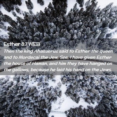 Picture 02 - Esther 8:7 WEB - Then the king Ahasuerus said to Esther the queen - Bible Verse Picture
