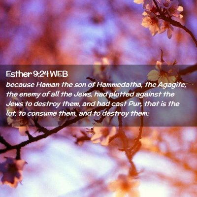 Picture 02 - Esther 9:24 WEB - because Haman the son of Hammedatha, the Agagite, - Bible Verse Picture