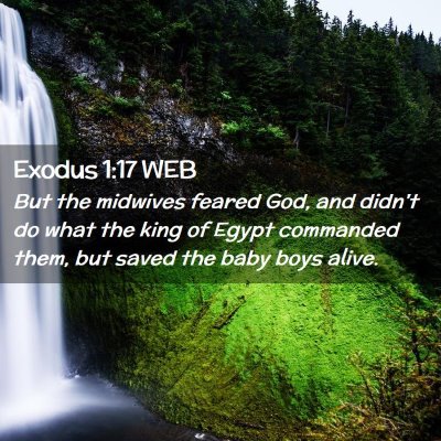 Picture 02 - Exodus 1:17 WEB - But the midwives feared God, and didn't do what - Bible Verse Picture
