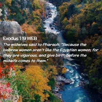 Picture 02 - Exodus 1:19 WEB - The midwives said to Pharaoh, 