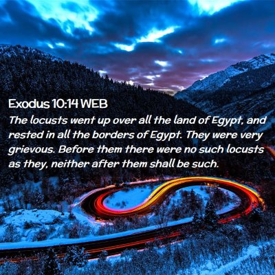 Picture 02 - Exodus 10:14 WEB - The locusts went up over all the land of Egypt, - Bible Verse Picture