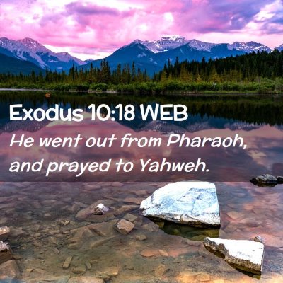 Picture 02 - Exodus 10:18 WEB - He went out from Pharaoh, and prayed to - Bible Verse Picture