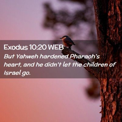 Picture 02 - Exodus 10:20 WEB - But Yahweh hardened Pharaoh's heart, and he - Bible Verse Picture