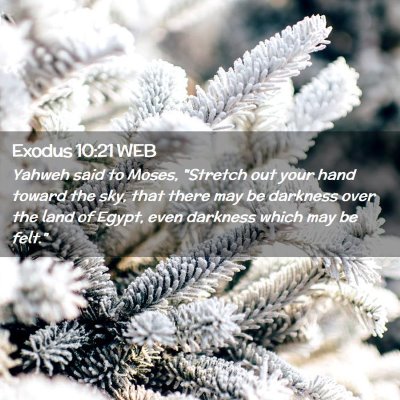 Picture 02 - Exodus 10:21 WEB - Yahweh said to Moses, 