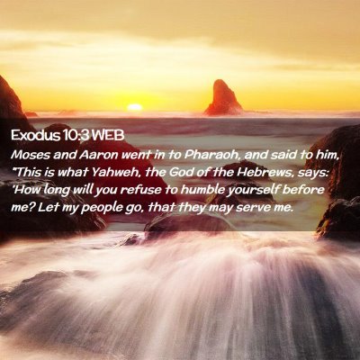 Picture 02 - Exodus 10:3 WEB - Moses and Aaron went in to Pharaoh, and said to - Bible Verse Picture