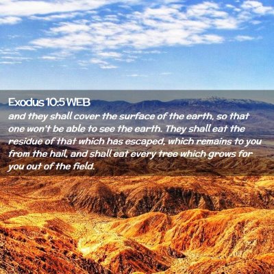 Picture 02 - Exodus 10:5 WEB - and they shall cover the surface of the earth, so - Bible Verse Picture