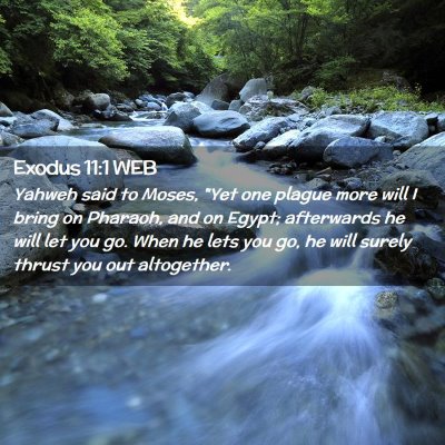 Picture 02 - Exodus 11:1 WEB - Yahweh said to Moses, 