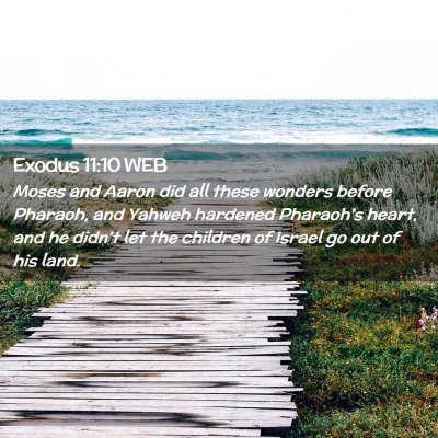 Picture 02 - Exodus 11:10 WEB - Moses and Aaron did all these wonders before - Bible Verse Picture