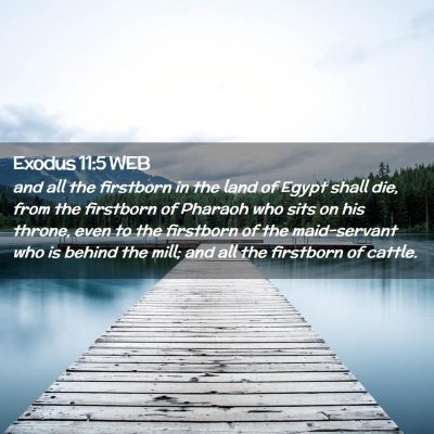 Picture 02 - Exodus 11:5 WEB - and all the firstborn in the land of Egypt shall - Bible Verse Picture