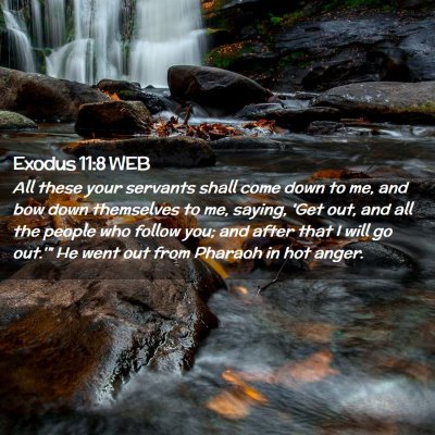 Picture 02 - Exodus 11:8 WEB - All these your servants shall come down to me, - Bible Verse Picture