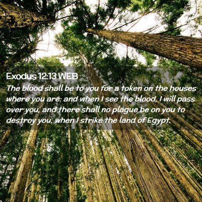 Picture 02 - Exodus 12:13 WEB - The blood shall be to you for a token on the - Bible Verse Picture