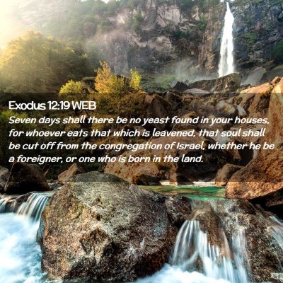 Picture 02 - Exodus 12:19 WEB - Seven days shall there be no yeast found in your - Bible Verse Picture