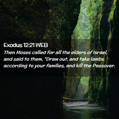 Picture 02 - Exodus 12:21 WEB - Then Moses called for all the elders of Israel, - Bible Verse Picture