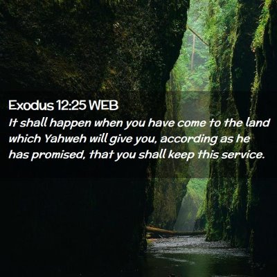 Picture 02 - Exodus 12:25 WEB - It shall happen when you have come to the land - Bible Verse Picture