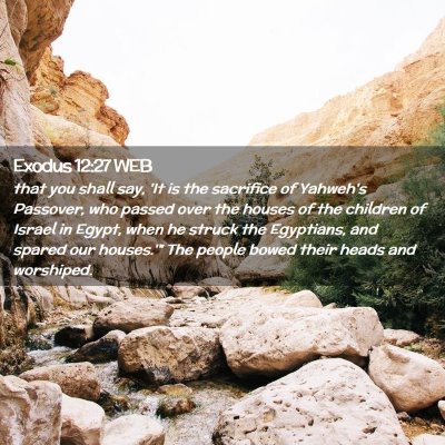 Picture 02 - Exodus 12:27 WEB - that you shall say, 'It is the sacrifice of - Bible Verse Picture