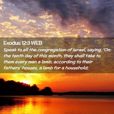 Picture 02 - Exodus 12:3 WEB - Speak to all the congregation of Israel, saying, - Bible Verse Picture
