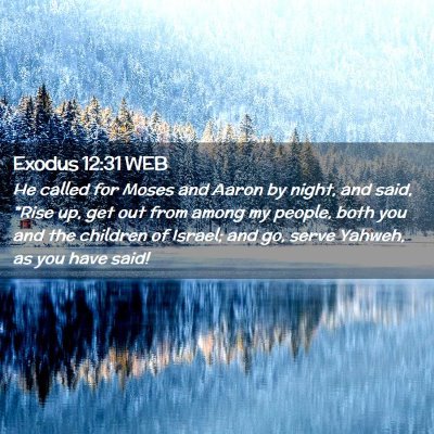 Picture 02 - Exodus 12:31 WEB - He called for Moses and Aaron by night, and said, - Bible Verse Picture