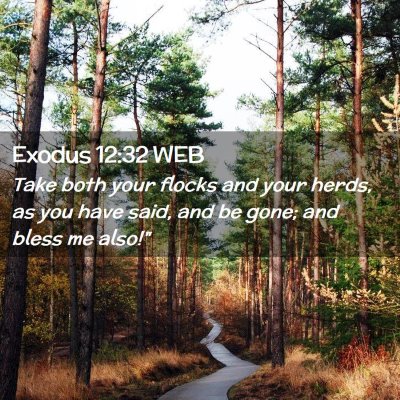 Picture 02 - Exodus 12:32 WEB - Take both your flocks and your herds, as you have - Bible Verse Picture