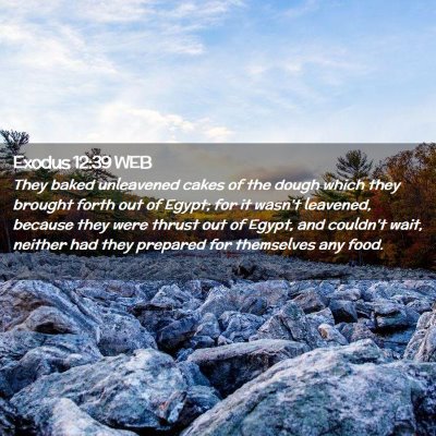Picture 02 - Exodus 12:39 WEB - They baked unleavened cakes of the dough which - Bible Verse Picture
