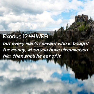 Picture 02 - Exodus 12:44 WEB - but every man's servant who is bought for money, - Bible Verse Picture